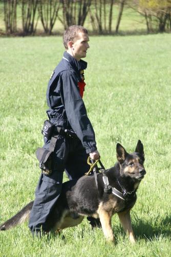 45 přebor kynologů 2014