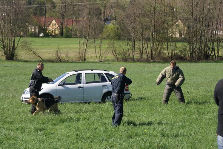 46 přebor kynologů 2014