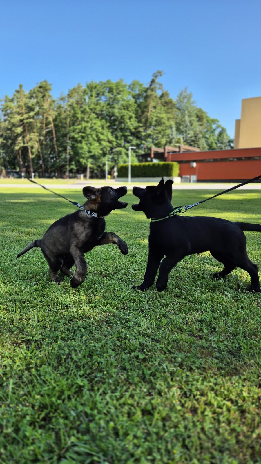 5 Casper a Árčí (1).jpg