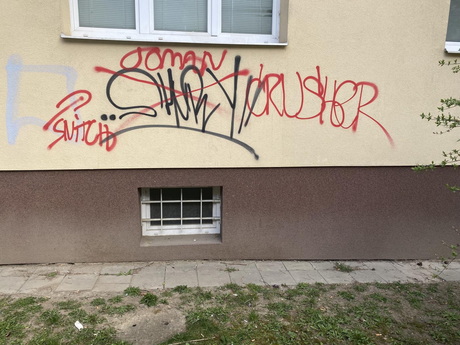 5 Foto5.jpg