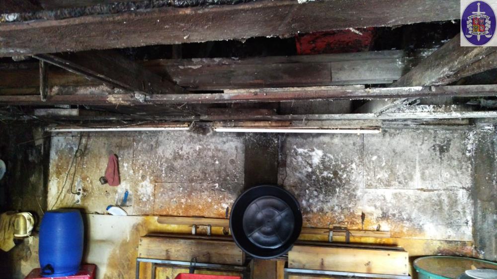 5 IMG_20160405_101918.jpg