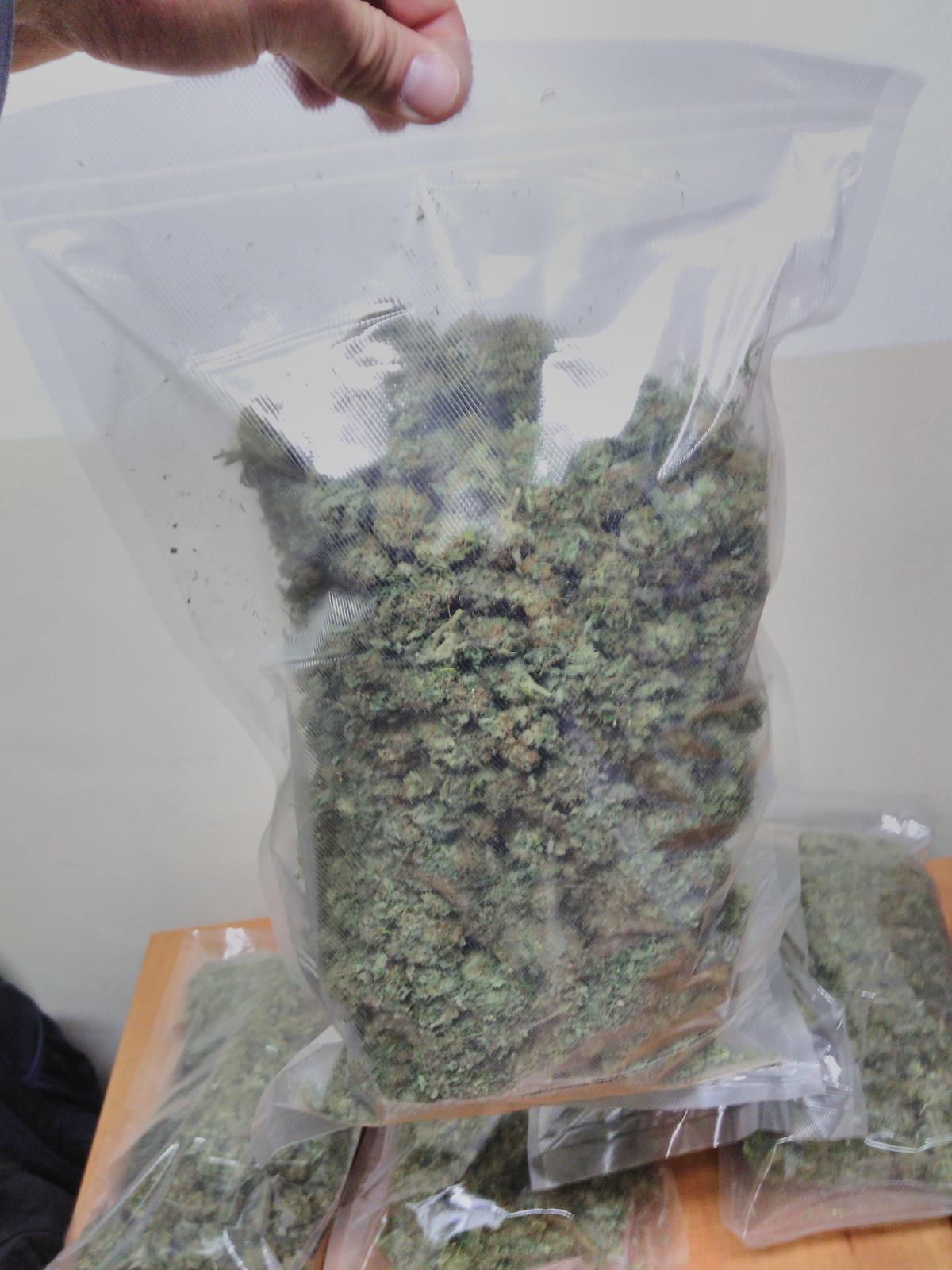 5 zajištěná marihuana (5).jpg