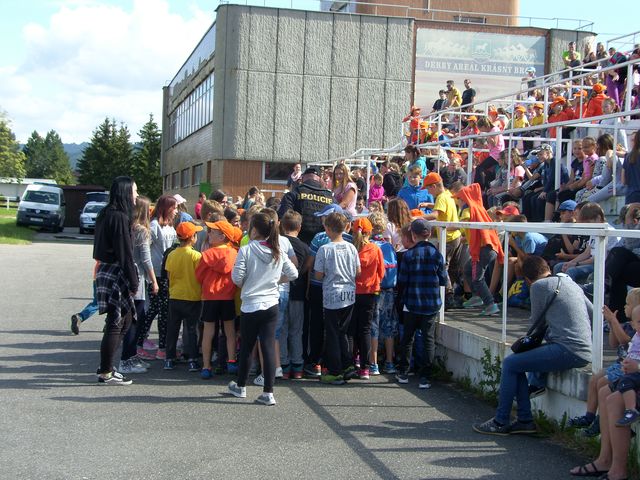 5.JPG
