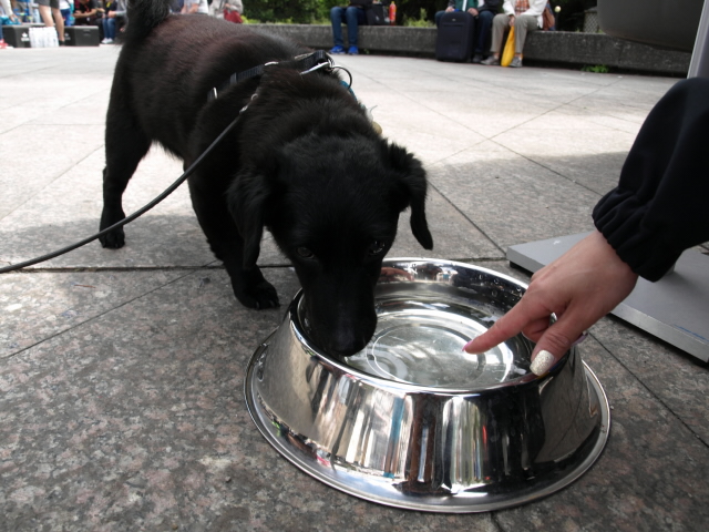 52. ročník MFF Karlovy Vary