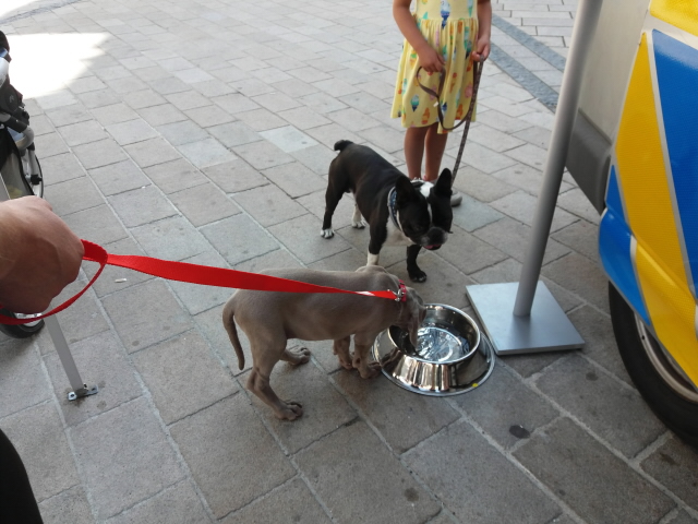 52. ročník MFF Karlovy Vary