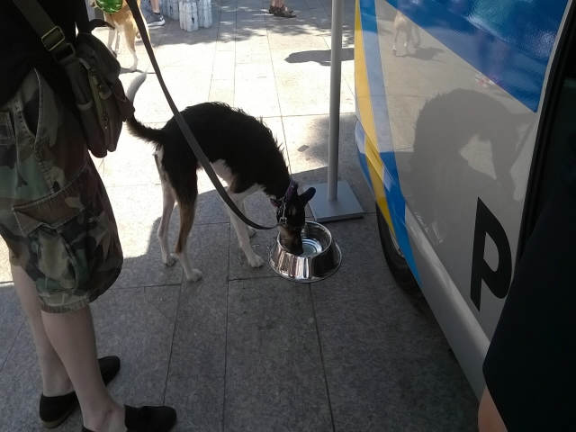 52. ročník MFF Karlovy Vary