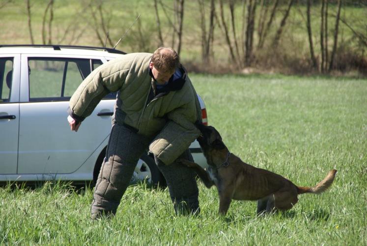 53 přebor kynologů 2014