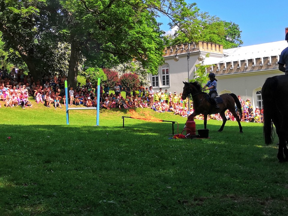 6 Jízdní policie.jpg