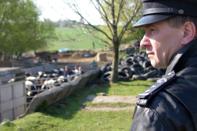 6 asistence farma Brestek