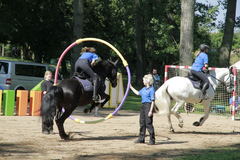 6 jízdní policie - MěP Praha.JPG