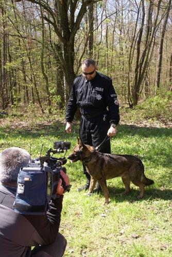 61 přebor kynologů 2014