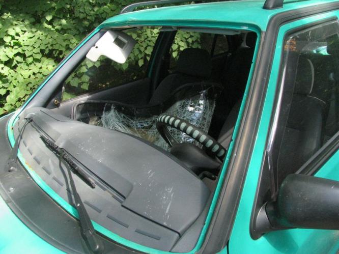 7.8.09 střet se zvěří 1