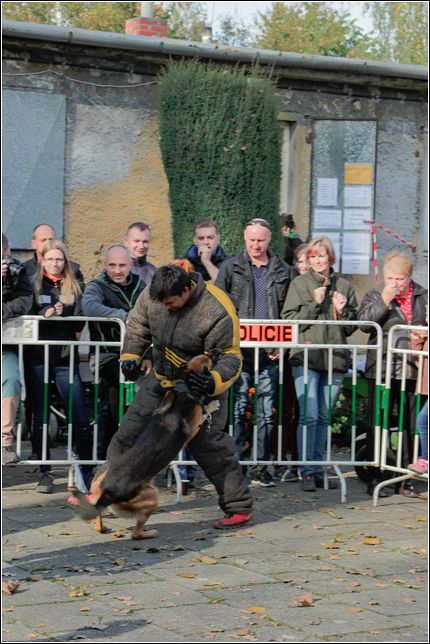 8 obranarsky_special_08.jpg