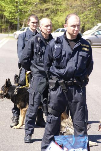 81 přebor kynologů 2014