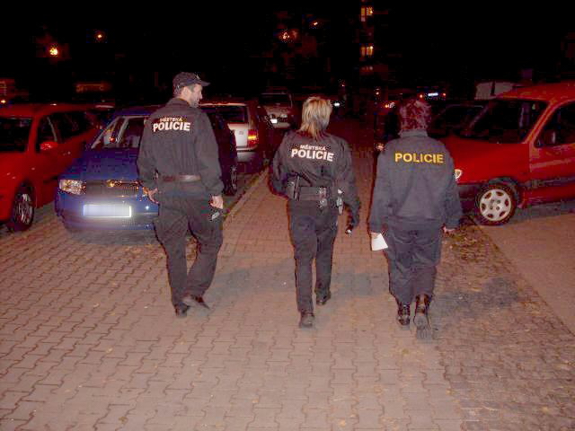 ANT 07_1.JPG
