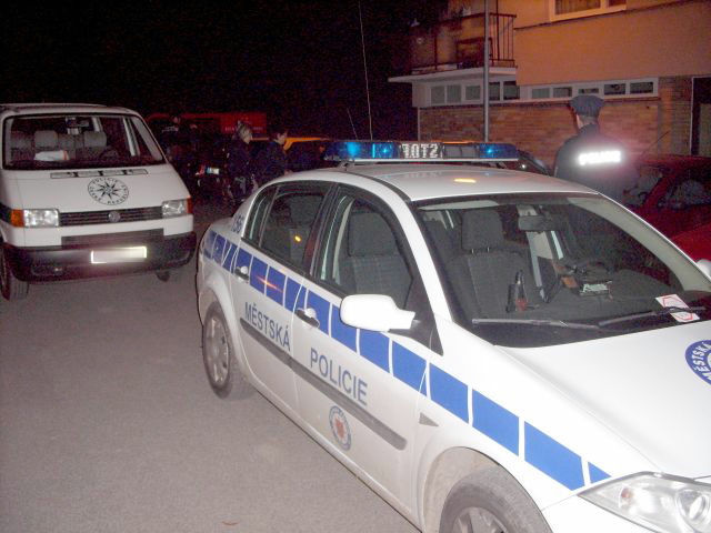 ANT 08_1.JPG