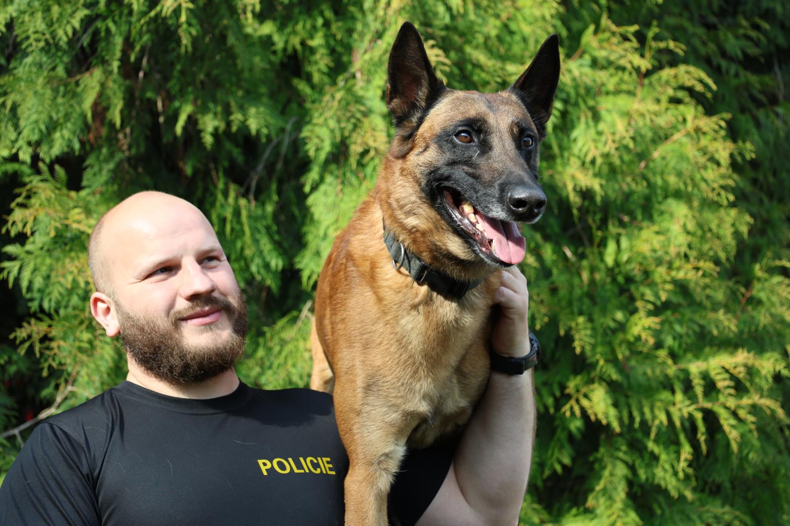 Absolutní vítězové