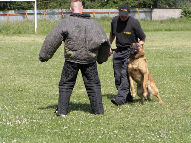 Ajax 13