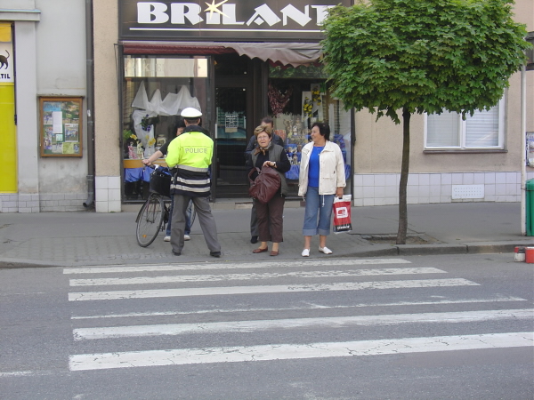 Akce Zebra v Pardubicích 7