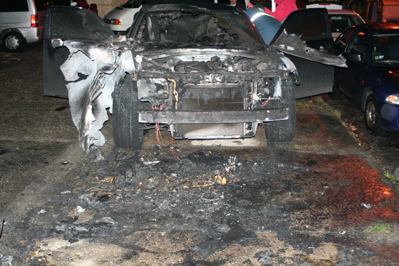 Auto 03.jpg