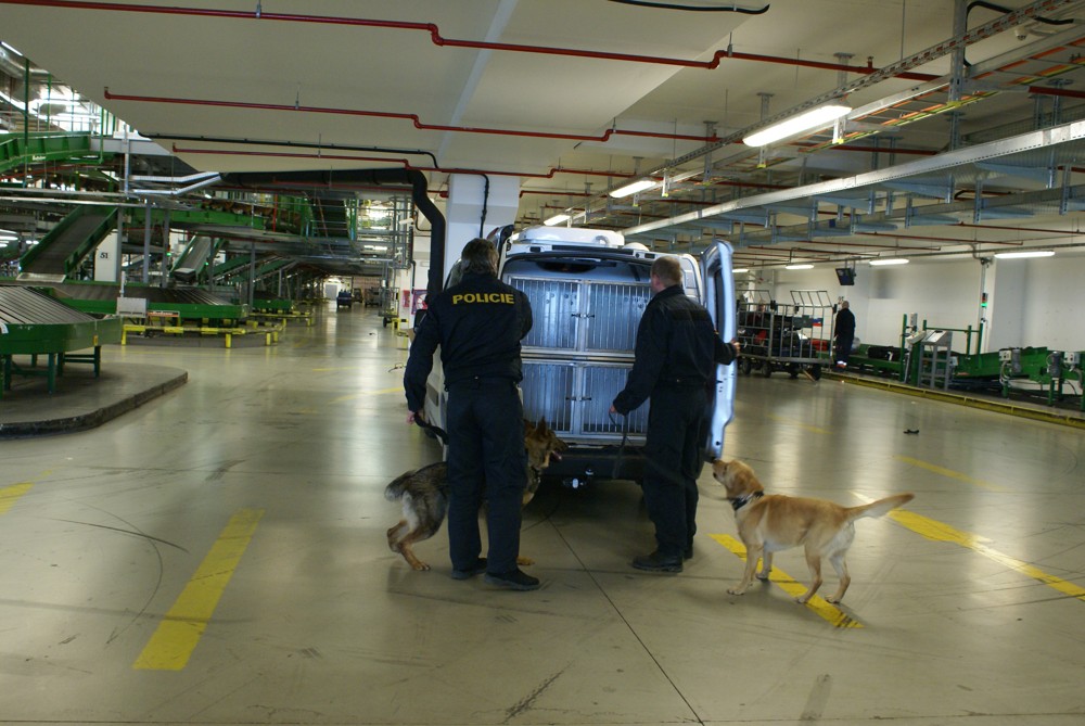 Auto pro psovody/011.JPG