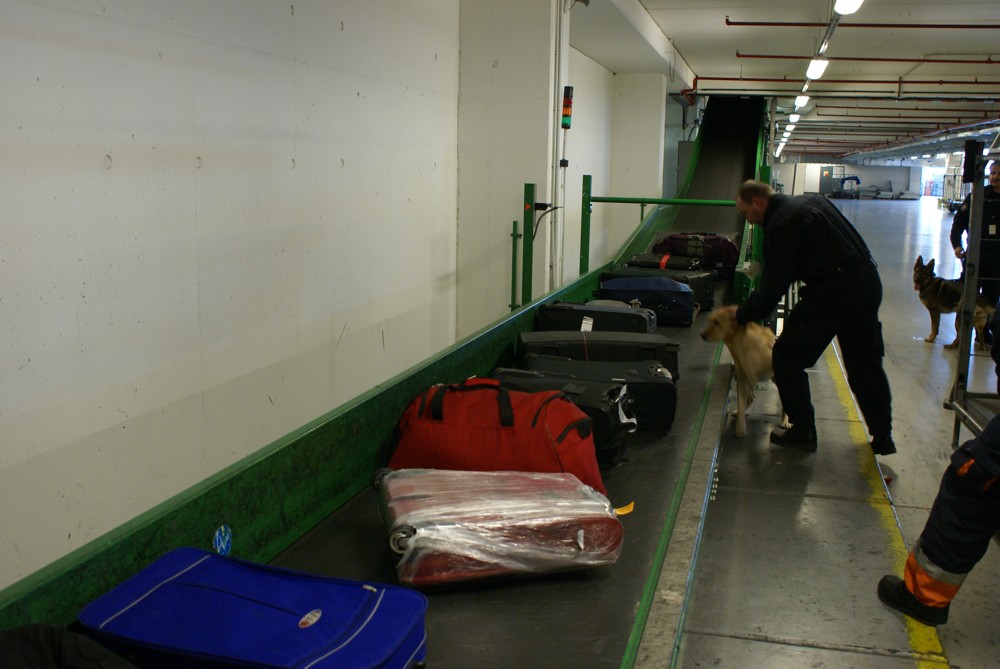 Auto pro psovody/012.JPG