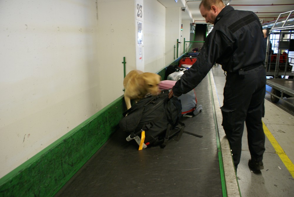 Auto pro psovody/014.JPG