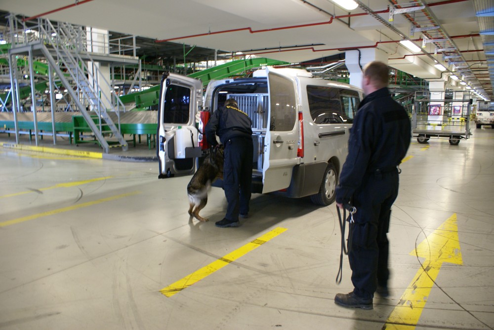 Auto pro psovody/016.JPG