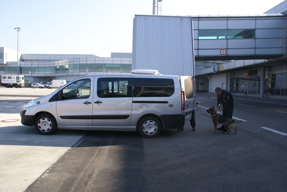 Auto pro psovody/024.JPG