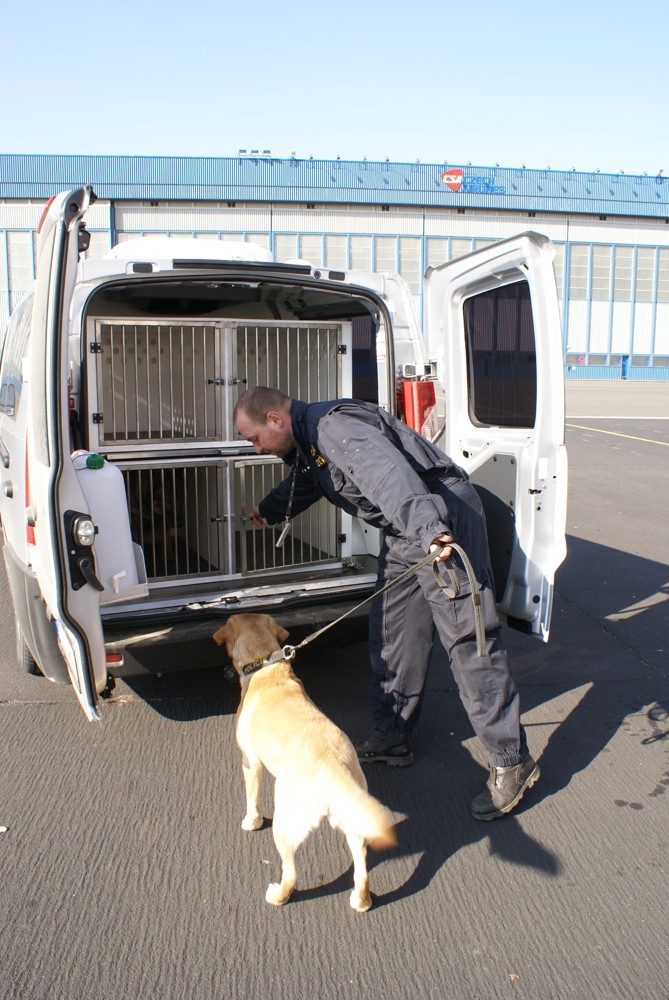 Auto pro psovody/006.JPG