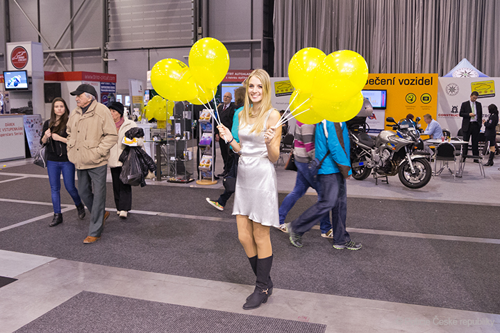 Autosalon 2013 13