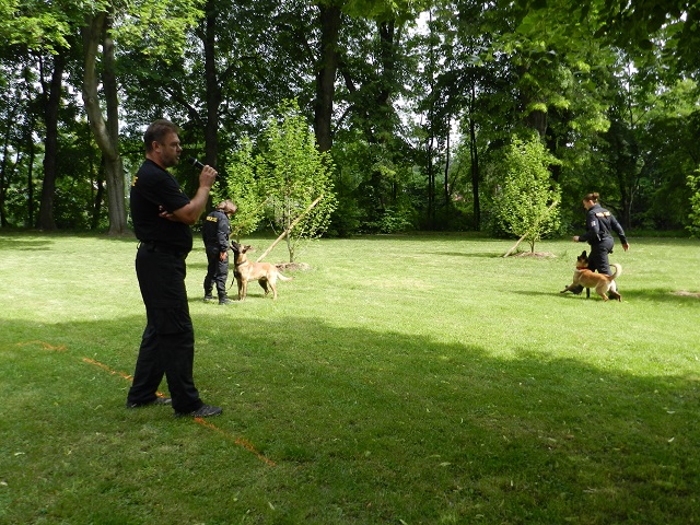 Autosalon Louny 2019