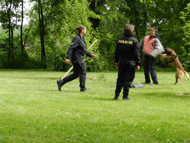 Autosalon Louny 2019