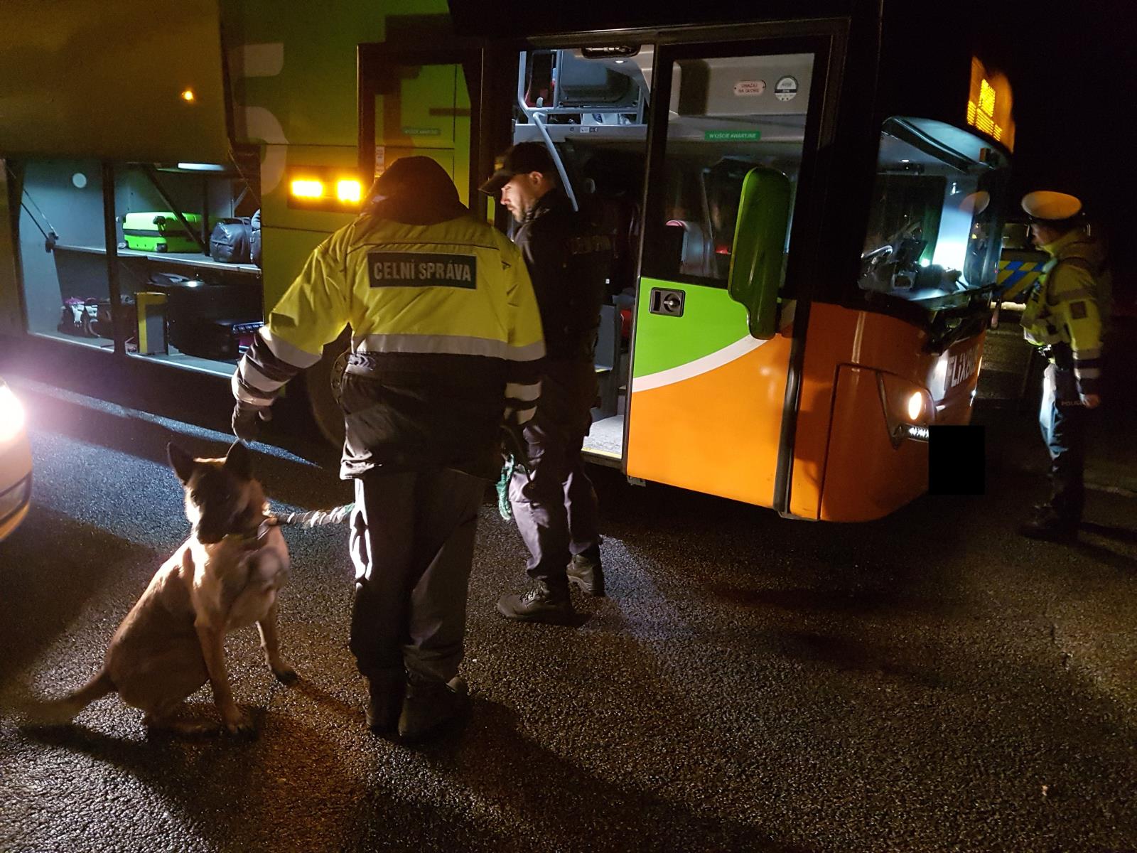 BUS (3)