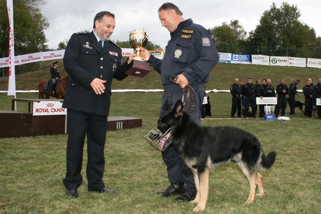Balková 22 - kategorie