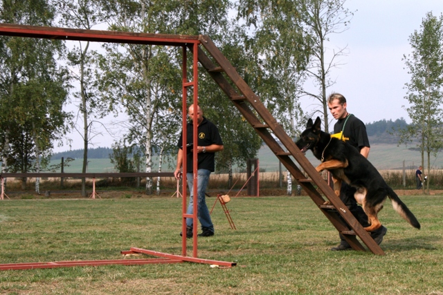 Balková_4.JPG