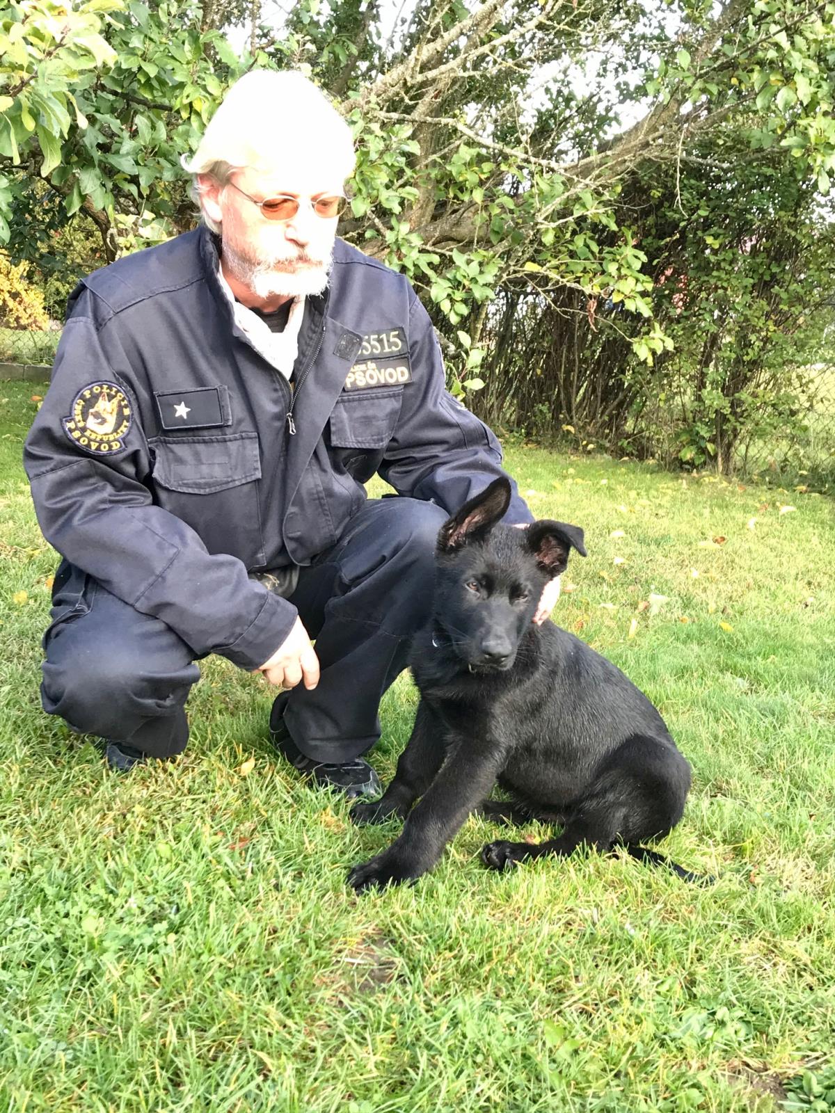 Bárt - policejní štěně