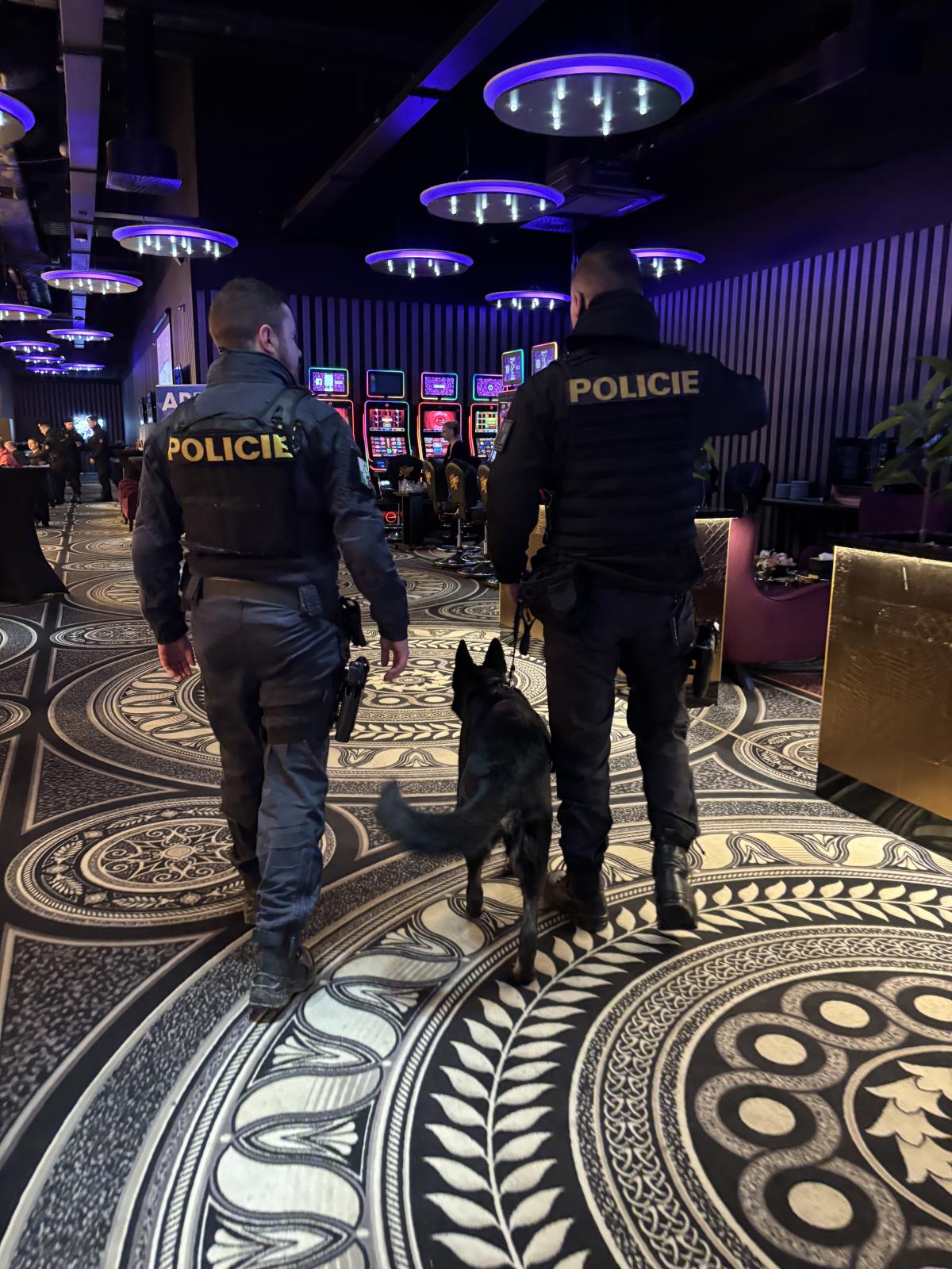 Bezpečná Plzeň - 14.02.2026