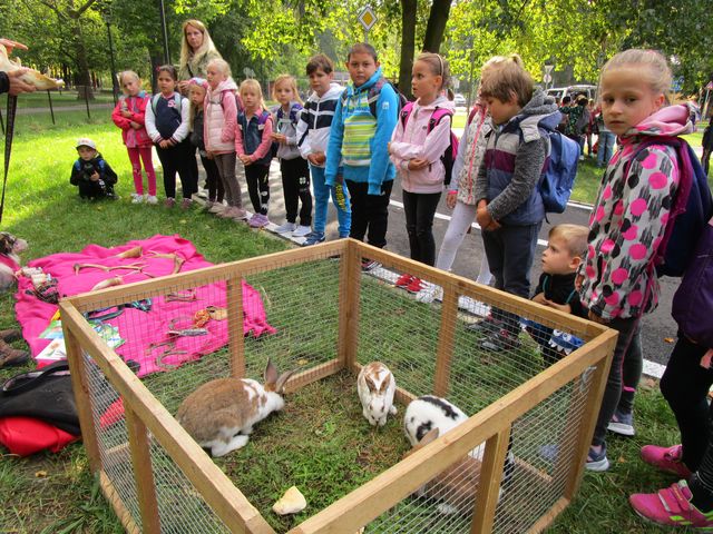 "Bezpečná cesta do školy"