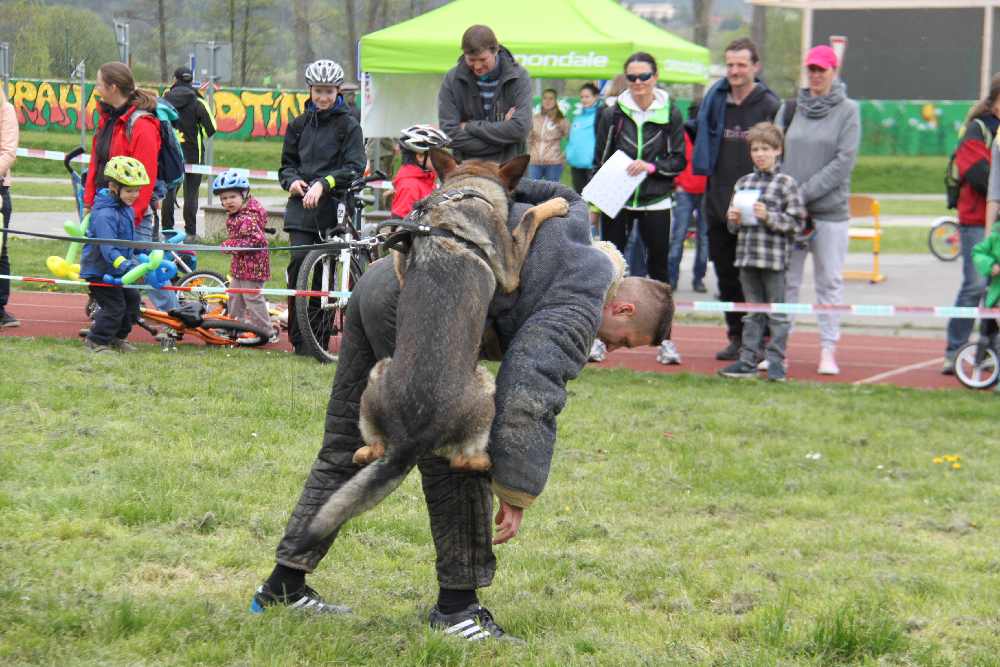 Bezpečné jaro (5)