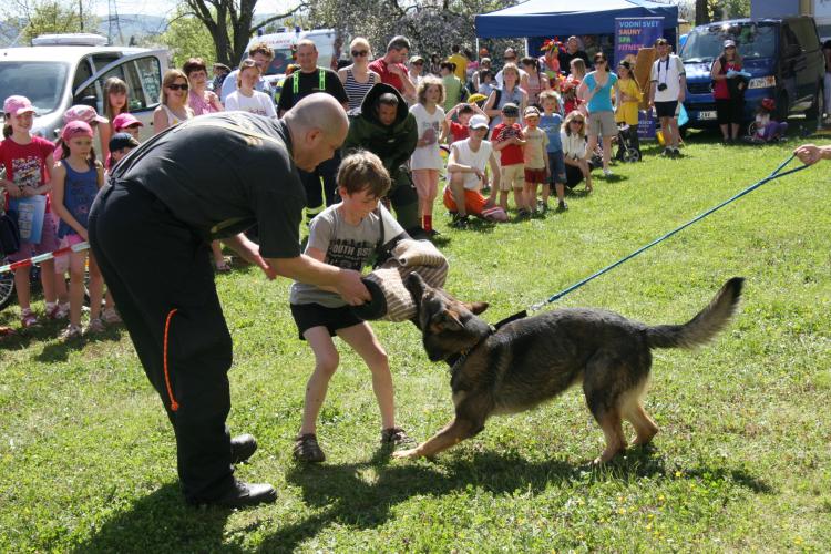 Bezpečné jaro Radotín 15