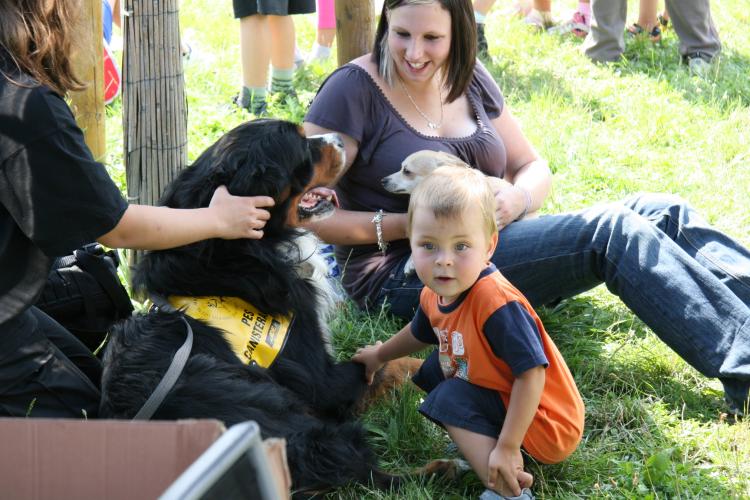 Bezpečně na cyklostezce 20