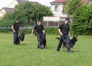 Bezpečné prázdniny2 2008