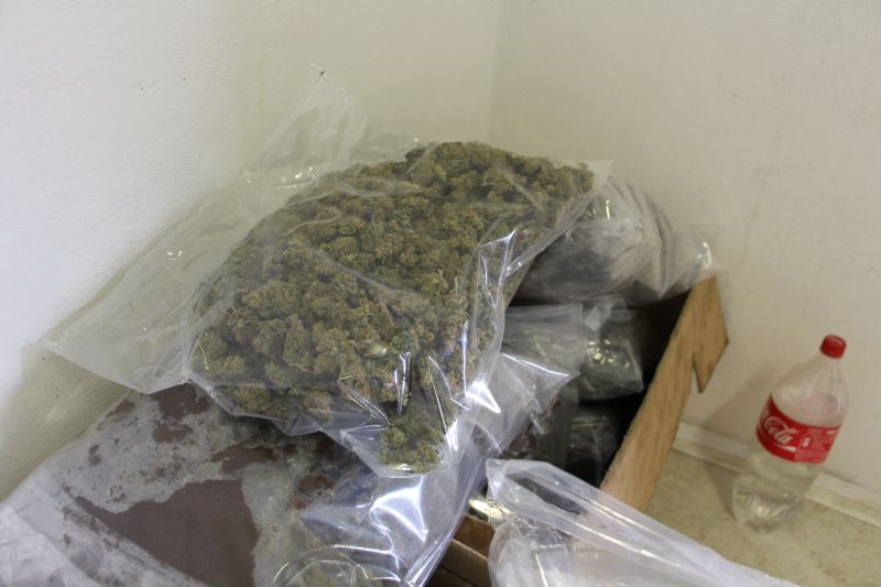 Blučina_marihuana  (9).JPG