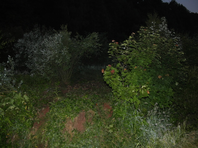 Bohuslavice 26.6.
