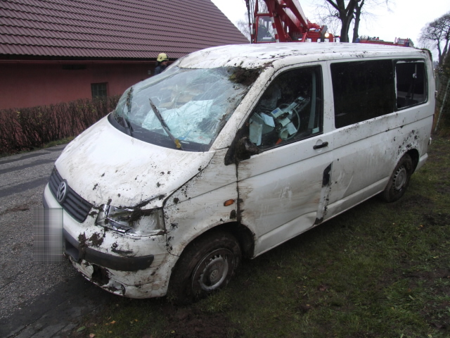 Borovnička 8.11.