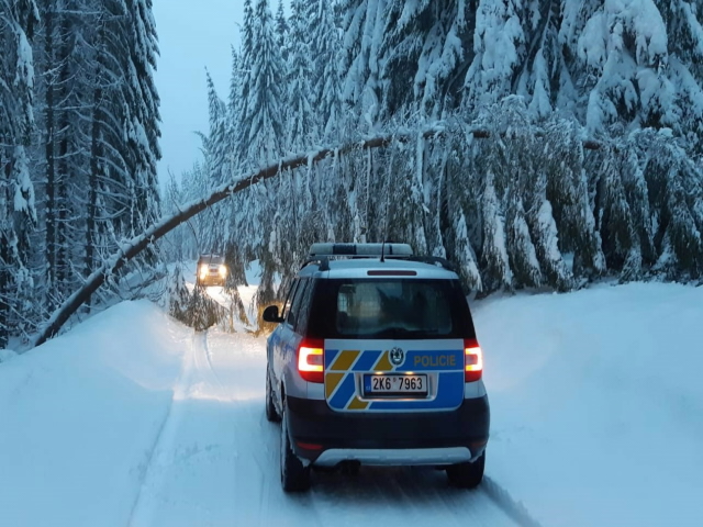 Boží Dar - kalamita