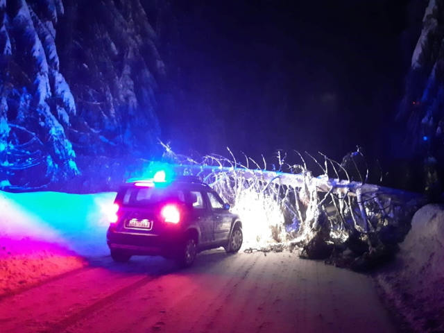 Boží Dar - kalamita