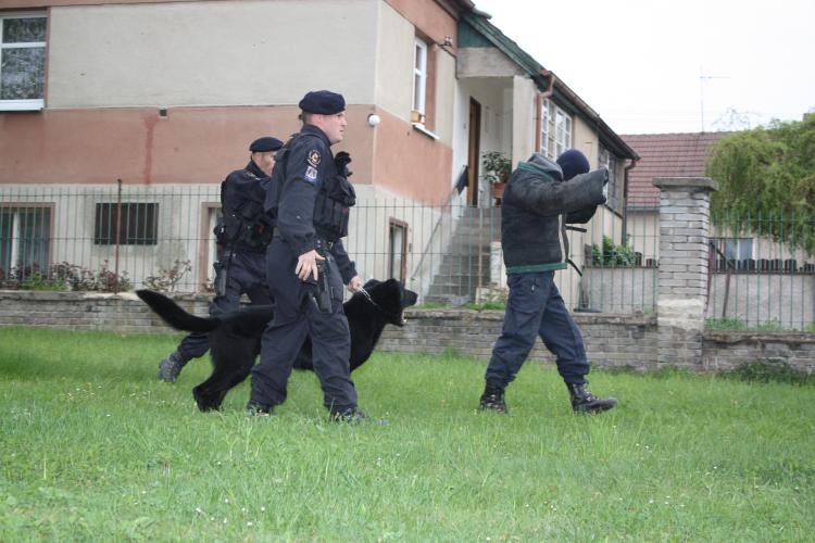 Branné dopoledne ve školed62.jpg
