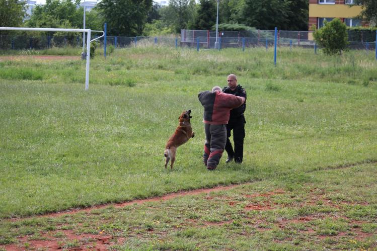 Branný den 01